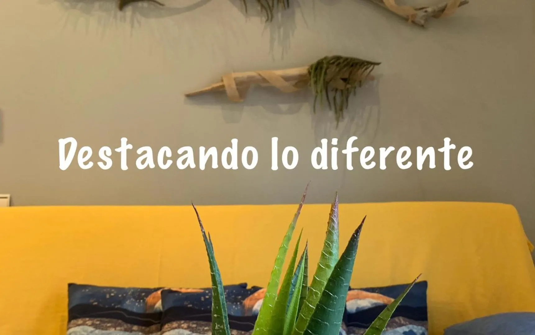 Apartamento 2 Habitaciones Zen Deltebre Spain